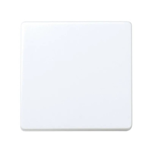 Interruptor bipolar blanco nieve Simon 27133-65 16A 250V - 1