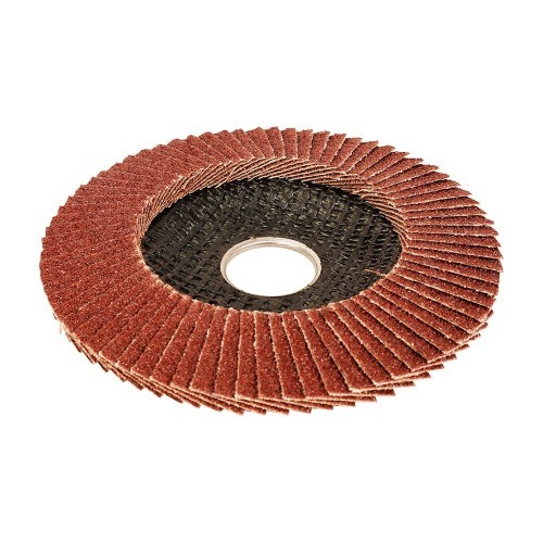 Disco de Lija Convexo Workpro Ø115x22,2mm Grano 40/60/80/120