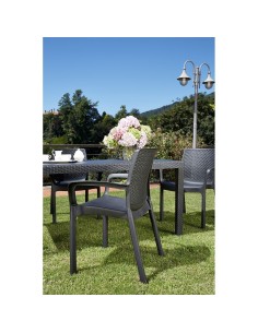 Silla Regina Antracita Apilable Imitación Ratán 2