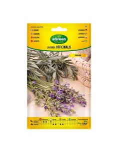 Semillas Lavanda Officinalis Sobre Uso Culinario Perfumado AGREEN