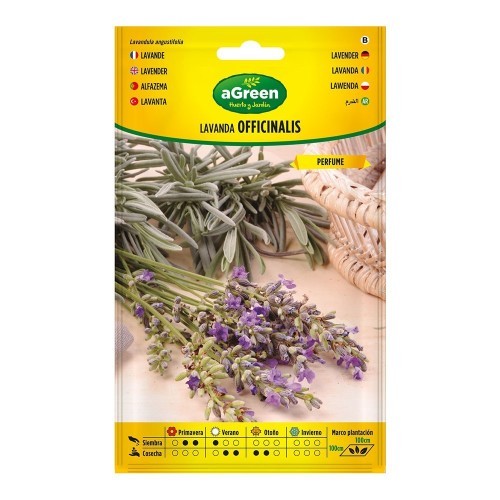 Semillas Lavanda Officinalis Sobre Uso Culinario Perfumado AGREEN