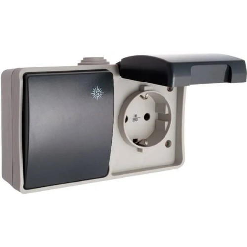 Base de enchufe 16A 2P+T/T lateral + conmutador 10A IP44 - 1